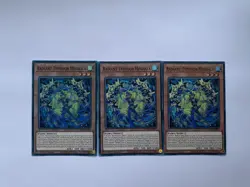 Yugioh! 3x Radiant Typhoon Meghala DOOD-EN012 Super Rare 1st Ed NM - Image 1