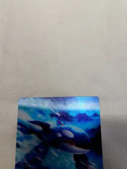 [LP+] Kyogre Japanese LENTICULAR 3D Zukan Carddass Pokemon Card 10803 - Image 2