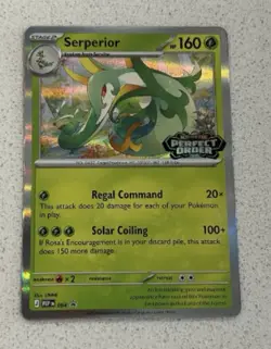 Pokemon TCG Serperior Staff Promo Holo 064 MEP 160 HP English - Image 1