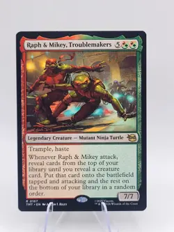Raph & Mikey, Troublemakers Teenage Mutant Ninja Turtles Regular - Image 1
