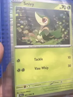 Pokemon Black/White Poster Promos - Oshawott, Tepig, Snivy - NM - Image 4