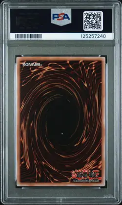2024 Yu-Gi-Oh! Dark Magician Girl Stainless Steel PSA 9 MINT - Image 2