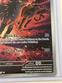 Mightyena Illustration Rare Ascended Heroes Pokemon TCG Card 243/217 - Image 4