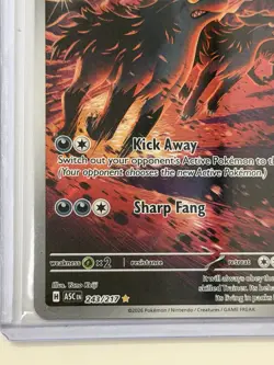 Mightyena Illustration Rare Ascended Heroes Pokemon TCG Card 243/217 - Image 5