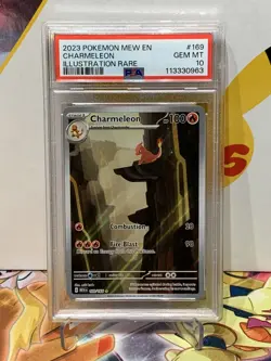 PSA 10 Charmeleon 169/165 Illustration Rare S&V:151 Pokemon TCG English - Image 4