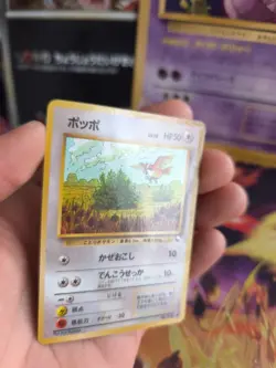 Pokemon Karte Card Vending expansion sheet glossy japanese Pidgey Taubsi NM- - Image 2
