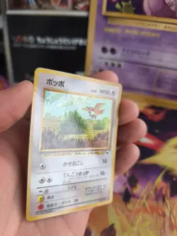 Pokemon Karte Card Vending expansion sheet glossy japanese Pidgey Taubsi NM- - Image 3