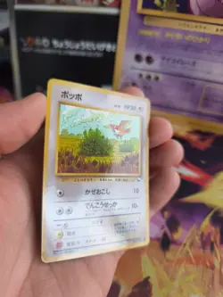 Pokemon Karte Card Vending expansion sheet glossy japanese Pidgey Taubsi NM- - Image 4
