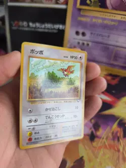 Pokemon Karte Card Vending expansion sheet glossy japanese Pidgey Taubsi NM- - Image 5