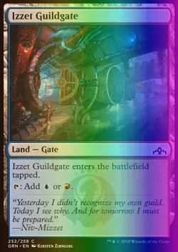 MTG Magic the Gathering Izzet Guildgate (252/291) Guilds of Ravnica LP FOIL - Image 1