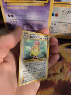 Pokemon Karte Card Vending expansion sheet glossy Pidgeotto NM-Mint japanese - Image 5