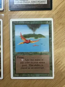 Lot of (6) Magic The Gathering Revised/IceAge/Chronicles Incl. Birds of Paradise - Image 3