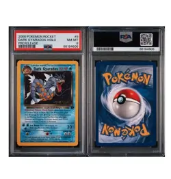 Pokemon 1st Edition Team Rocket Dark Gyrados Holo PSA 8 - Image 3