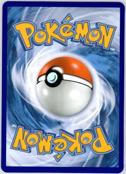Scorbunny SWSH002 Oversized/Jumbo (NM) - 25th Anniversary Celebrations - Pokemon - Image 2