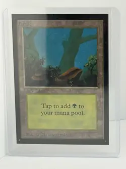 International Edition - IE Forest MTG - Image 1