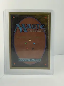 International Edition - IE Forest MTG - Image 2