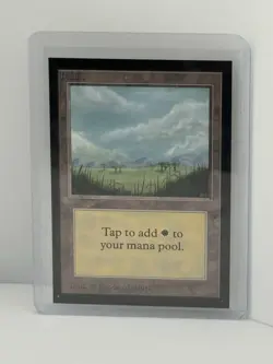 MTG Plains International Collector's Edition - Never Played - Image 1
