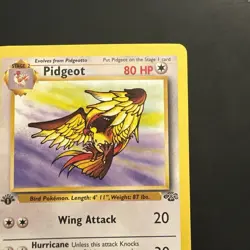 Pokemon Vintage 1st Edition Non-holo Rare Pidgeot Jungle 24/64 WotC 1999 - Image 3