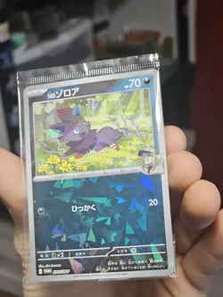 Pokemon Japanese N's Zorua 200/SV-P Collection File Promo Holo SEALED - Image 2