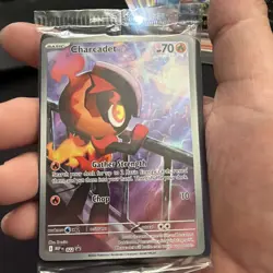 Charcadet - MEP 022 - Black Star Promo - Pokemon Card - SEALED #2 - Image 3