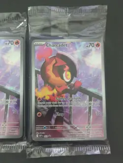 Charcadet - MEP 022 - Black Star Promo - Pokemon Card - SEALED - Image 1
