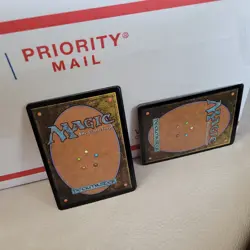 6,000 Magic: the gathering Cards. ALL English Bulk, Common / Uncommon MTG Lot - Image 3