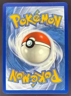 2023-25 Pokemon Gaming SV Black Star Promos - SVP EN Houndstone ex #162 - Image 2