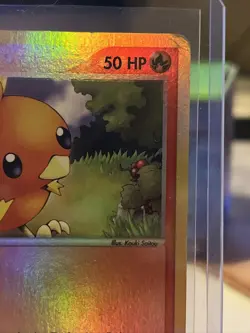 Pokemon - Torchic - Ruby & Sapphire 74/109 - Reverse Holo - MP - Image 3