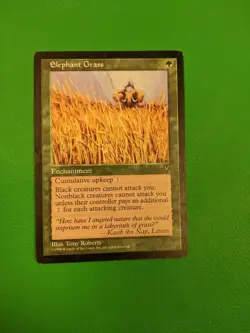 Elephant Grass Visions Regular - Image 1