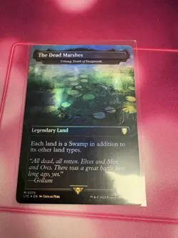 MTG The Dead Marshes - Urborg, Tomb of Yawgmoth - Foil - Borderless, NM-Mint, En - Image 1