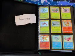 Pokemon Shiny Vault Master Set - Hidden Fates, Shining Fates, & Paldean Fates - Image 1