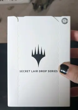 MTG: Secret Lair - Secret Lair x Street Fighter - Traditional FOIL, SEALED Box!! - Image 2