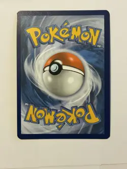 Dachsbun Ex 169/142 Stellar Crown Special Illustration Rare Pokemon TCG - Image 2