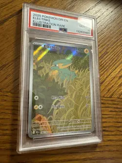2025 Pokemon Dri En Electrike Illustration Rare #196 Graded Psa 10 - Image 3