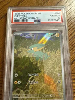 2025 Pokemon Dri En Electrike Illustration Rare #196 Graded Psa 10 - Image 5