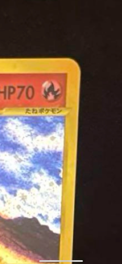 Moltres Web 1st Edition Holo 043/048 Excellent- Japanese Pokemon Card - Image 4