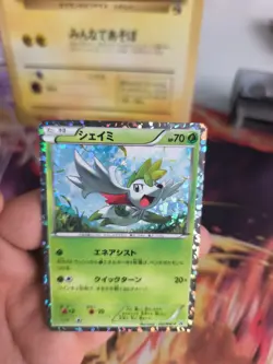 Pokemon Karte Card Holo Shaymin BW Promo Black White Rare 2013 japanese NM- - Image 5