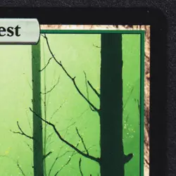 MTG Forest 140/140 Full Art Unhinged Magic The Gathering NM English Near Mint - Image 4