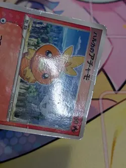 MAY'S TORCHIC 037/ADV-P - HP - ADVP ADV PROMOS JAPANESE 2003 POKEMON CARD - Image 2
