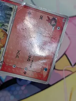 MAY'S TORCHIC 037/ADV-P - HP - ADVP ADV PROMOS JAPANESE 2003 POKEMON CARD - Image 5