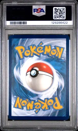 2024 Pokemon TEF EN - CINCCINO #183 - Illustration Rare PSA 8 Pokemon - Image 2