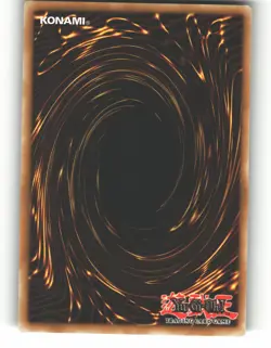 Toon Masked Sorcerer DB2-EN120 Common / Short Print Dark Beginning 2 Yu-Gi-Oh MP - Image 2