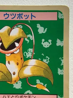 Victreebel NO.071 Topsun Pokemon card Japanese Green Back 1995 RARE - Image 3
