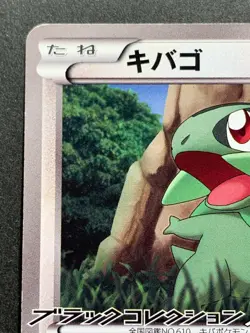 Pokemon card Axew 003/BW-P PROMO 2010 Nintendo Japanese Pocket Monster RARE - Image 2