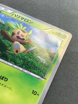 Pokemon card Chespin 061/XY-P PROMO 2014 Nintendo Japanese Pocket Monster RARE - Image 4
