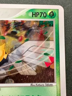 Pokemon card Ninjask 013/082 1st 2004 Pokemon TCG Japanese Holo Rare Nintendo - Image 3