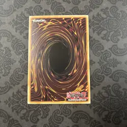 Donpa, Marksman Fur Hire MP19-EN244 Common 1st Edition Card Yugioh - Image 2