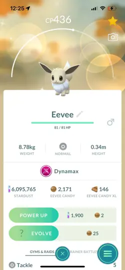 Pokemon Go Shiny Dynomax Eevee - Image 1