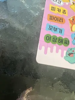 Pikachu Taco Cat Goat Cheese Pizza Card - Image 3