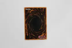 Salamandra (DDS-006) - Yu-Gi-Oh! TCG, Prismatic Secret Rare, Holo, Promo LP - Image 3